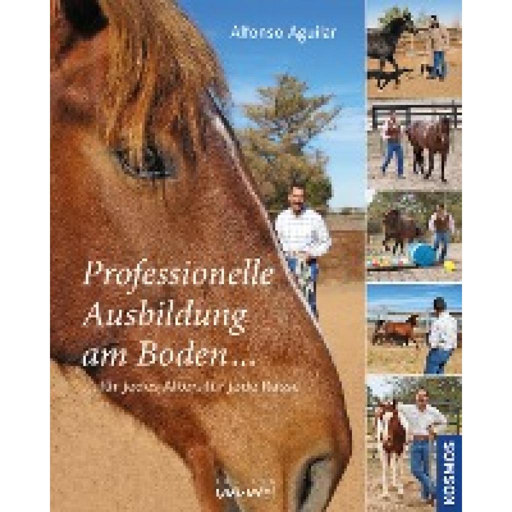 Aguilar, Alfonso: Professionelle Ausbildung am Boden